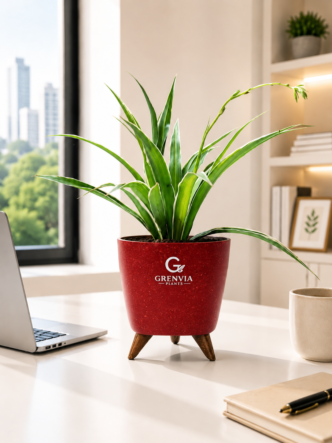 Spider Plant- Tripod Stand Eco planter