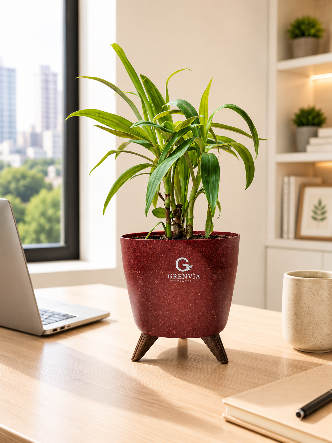 Oyester plant- Tripod stand-Eco Planters