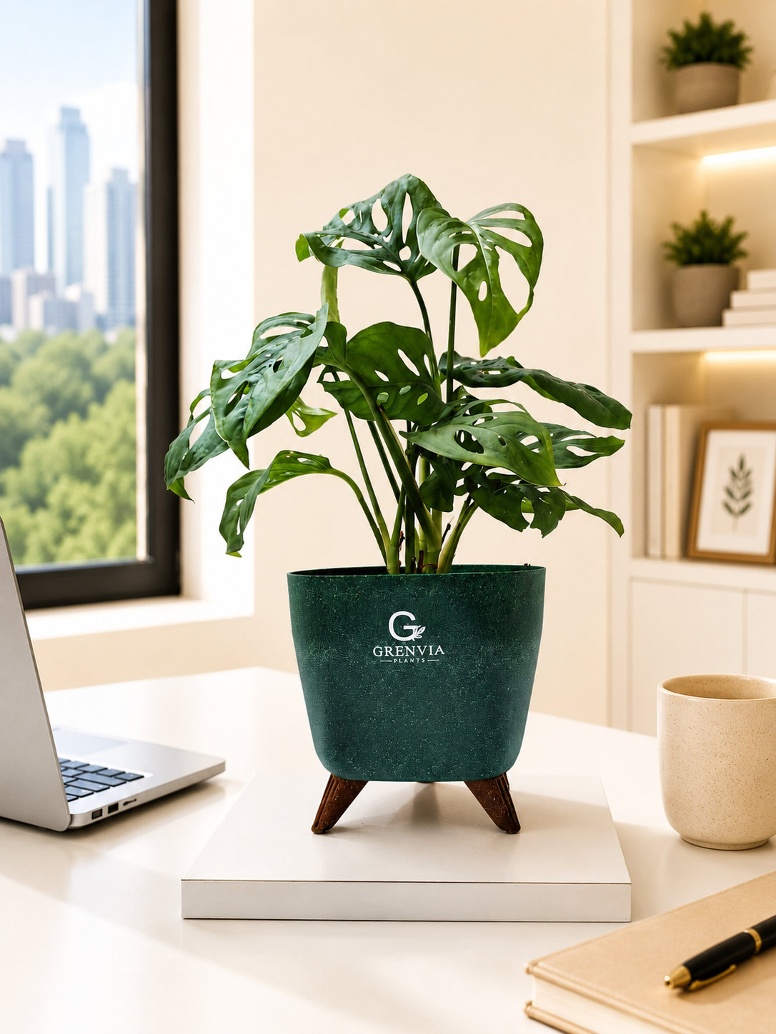 Monstera Broken heart-Tripod Stand Eco Planter
