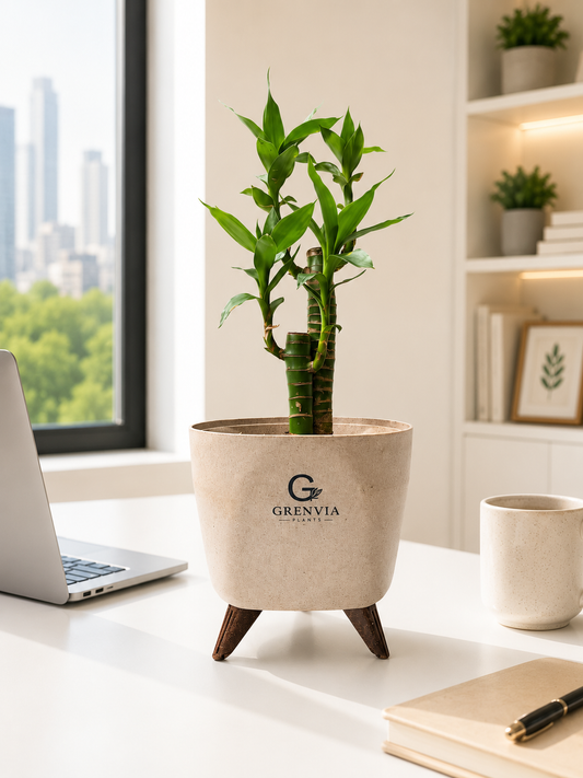 Lotus Bamboo-Tripod Stand Eco Planters