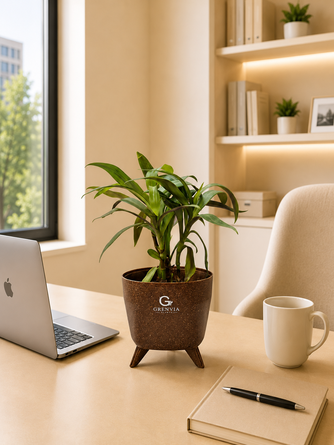 Oyester plant- Tripod stand-Eco Planters