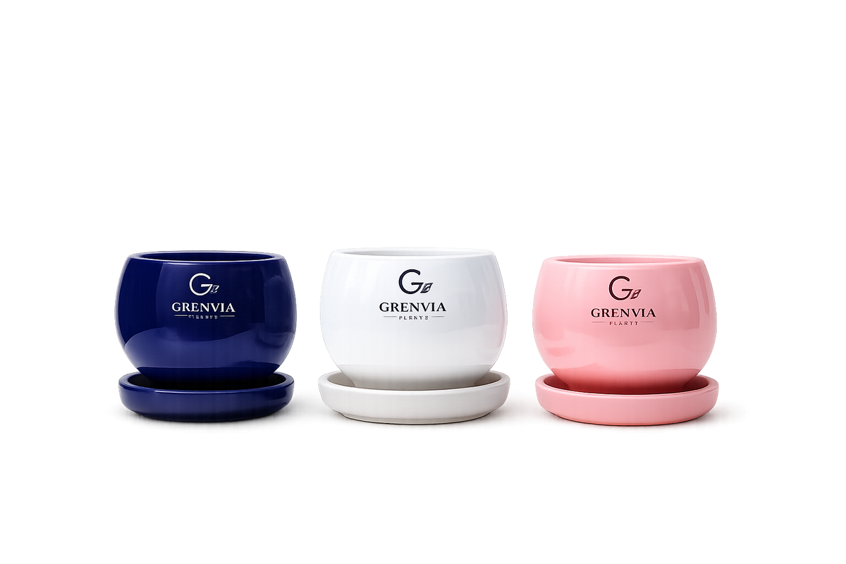 Premium Ceramic 3 In one Planter Set