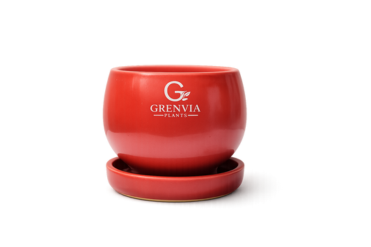 Premium Ceramic-Round Planters