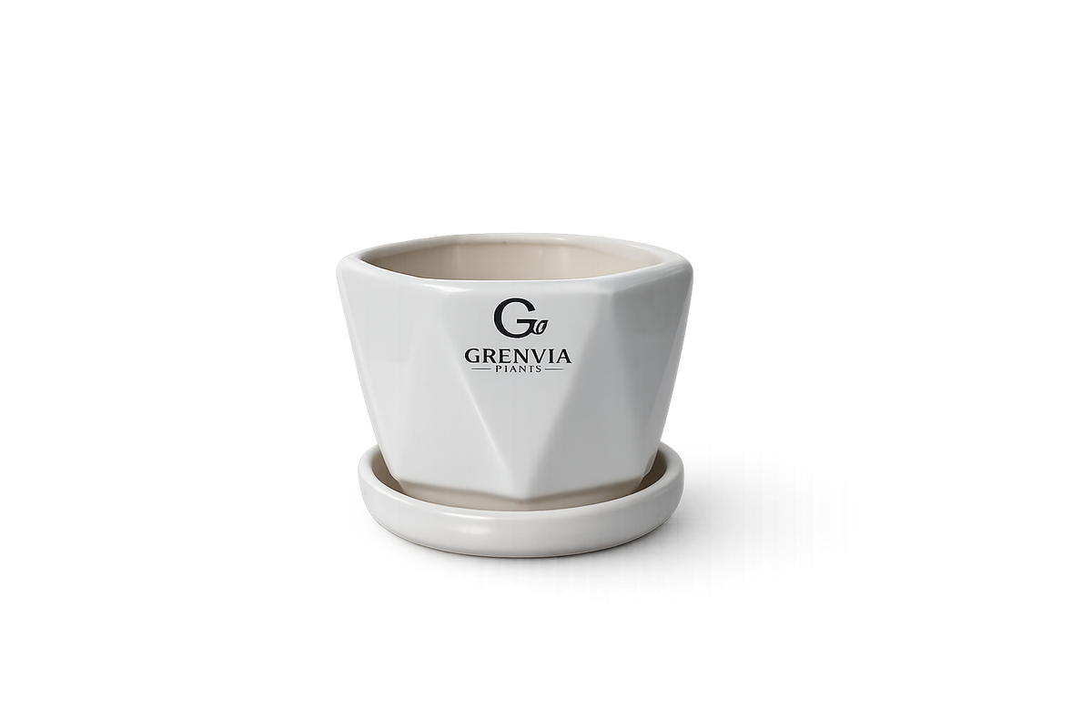 Diamond Premium Ceramic planter