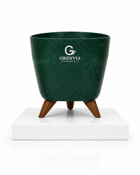 Tripod Stand Eco Planter