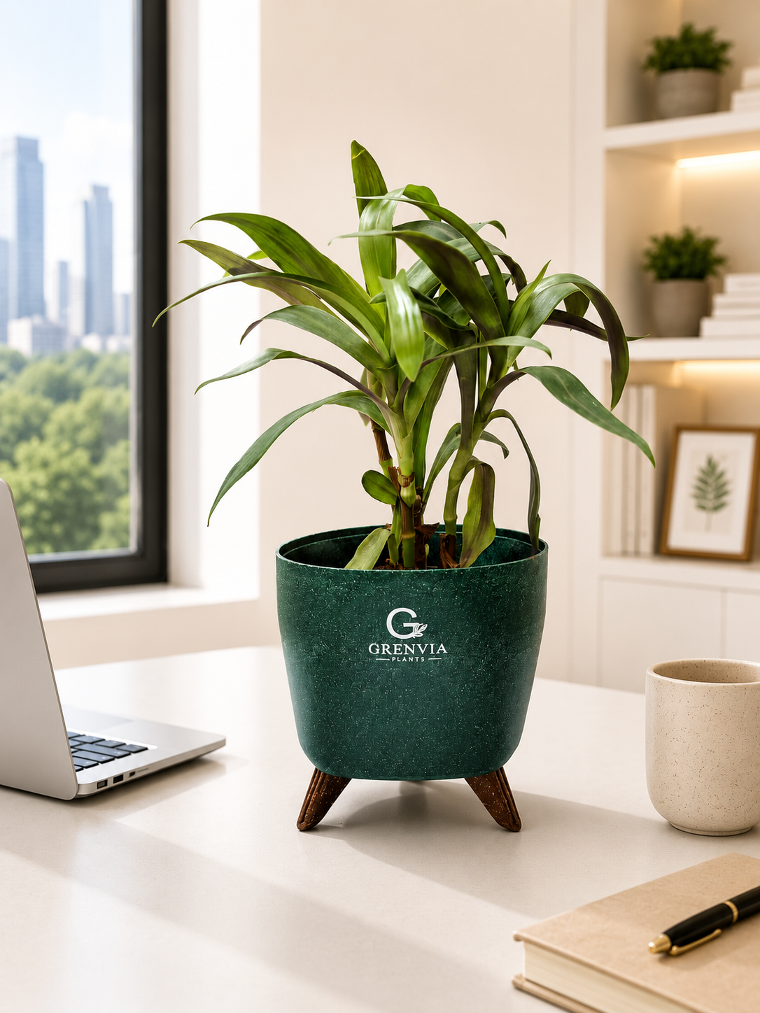 Oyester plant- Tripod stand-Eco Planters