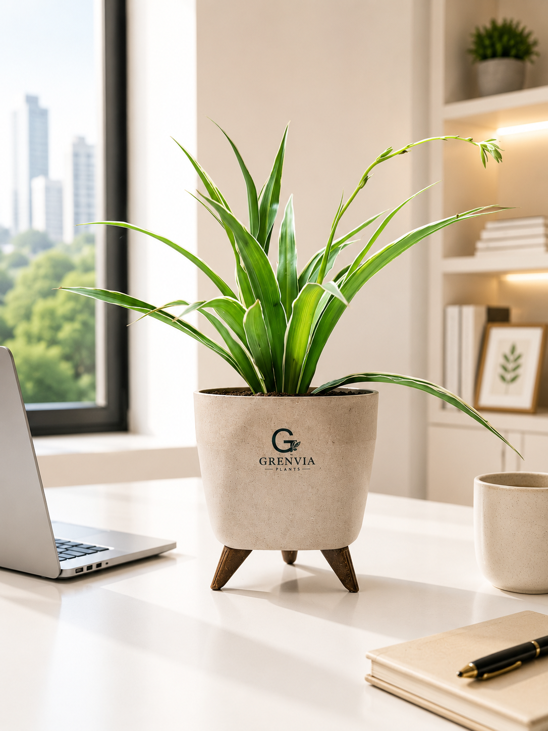 Spider Plant- Tripod Stand Eco planter
