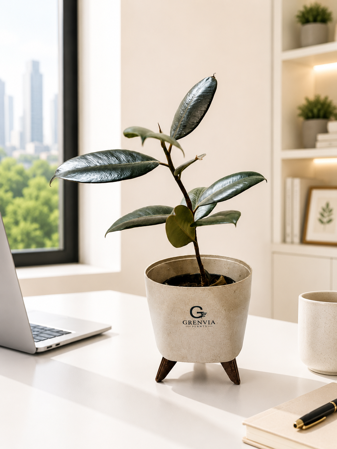 Rubber Plant-Tripod Stand Eco Planter