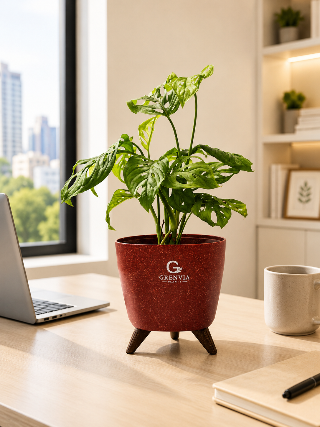 Monstera Broken heart-Tripod Stand Eco Planter