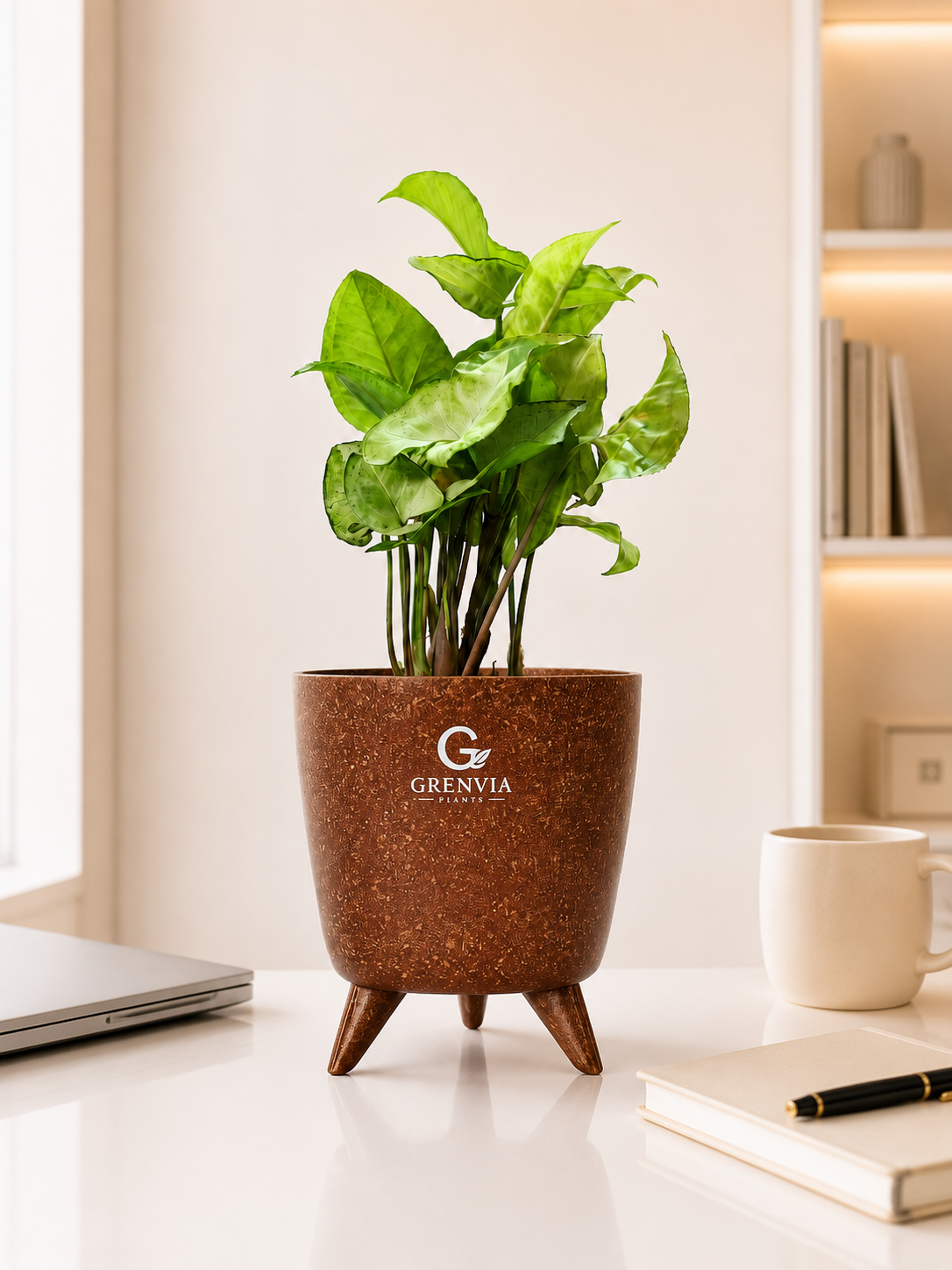 White Synghonium-Tripod Stand Eco Planter