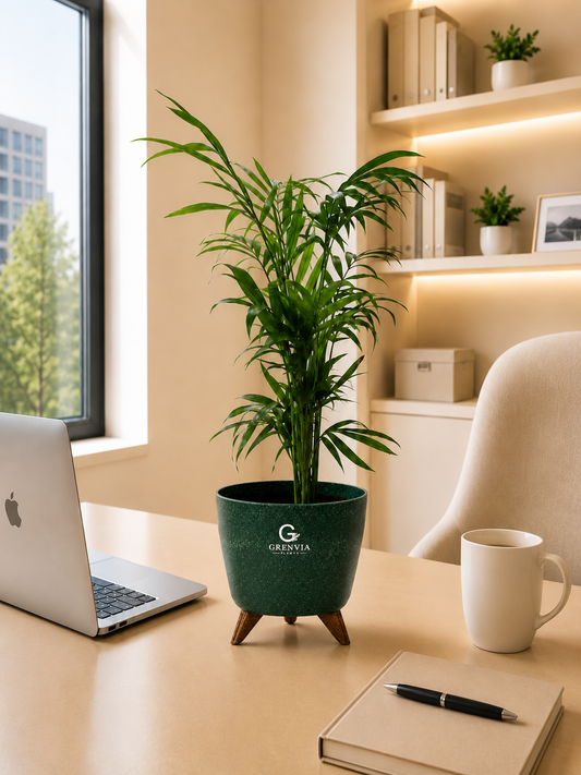 Palm Elegance-Tripod Stand Eco planter