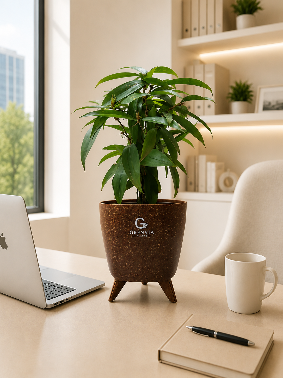 Dracaena Surculosa-spotted leaf plant-Tripod Stand Eco planter