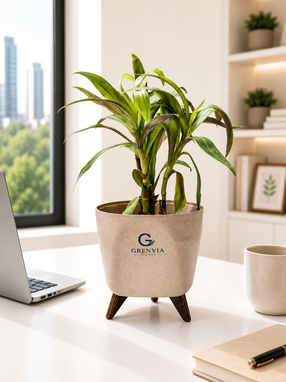 Oyester plant- Tripod stand-Eco Planters