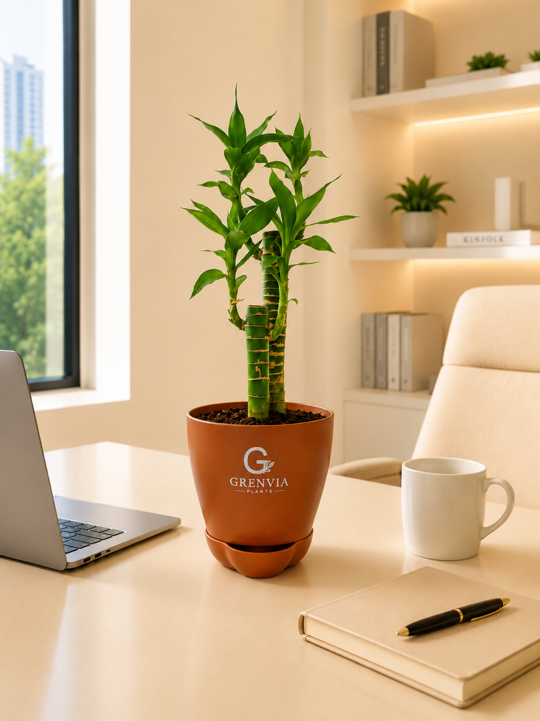 Lotus Bamboo plant- Self watering planter