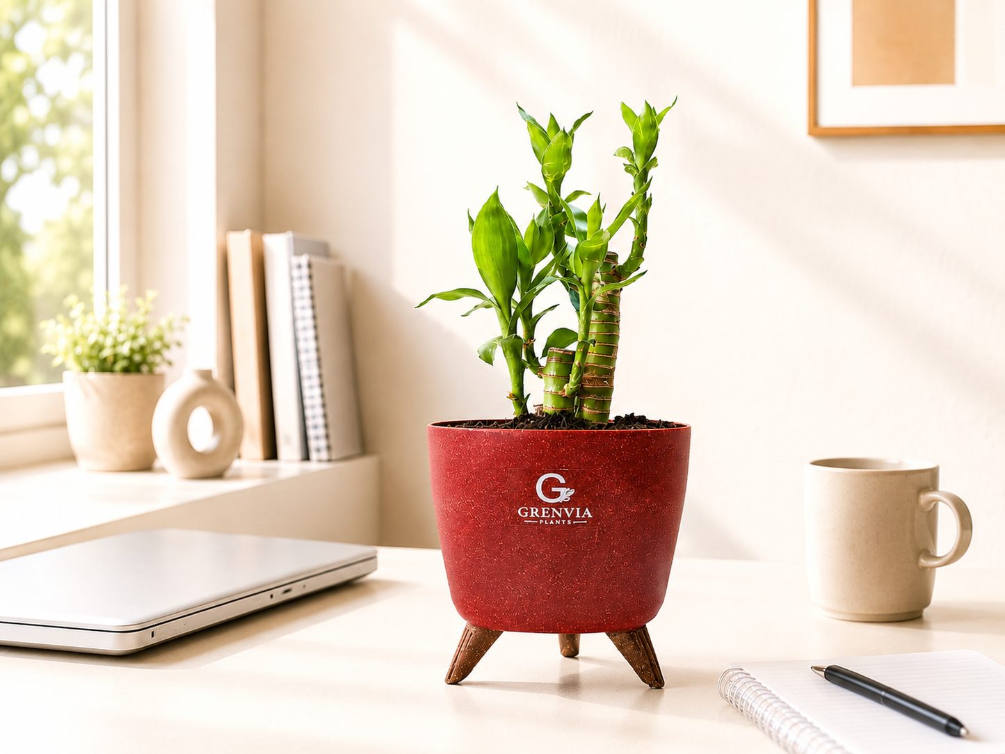 Lotus Bamboo-Tripod Stand Eco Planters