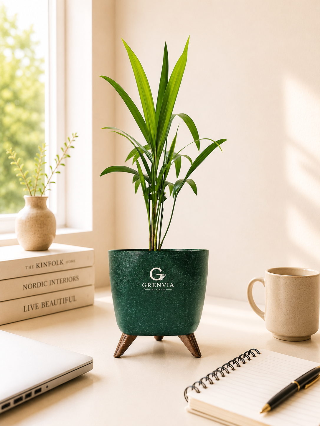 Palm Elegance-Tripod colection