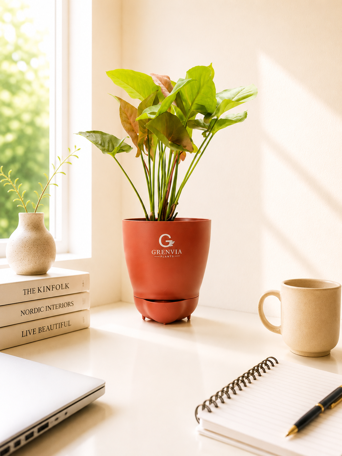🌿 Pink Syngonium Watering Planter